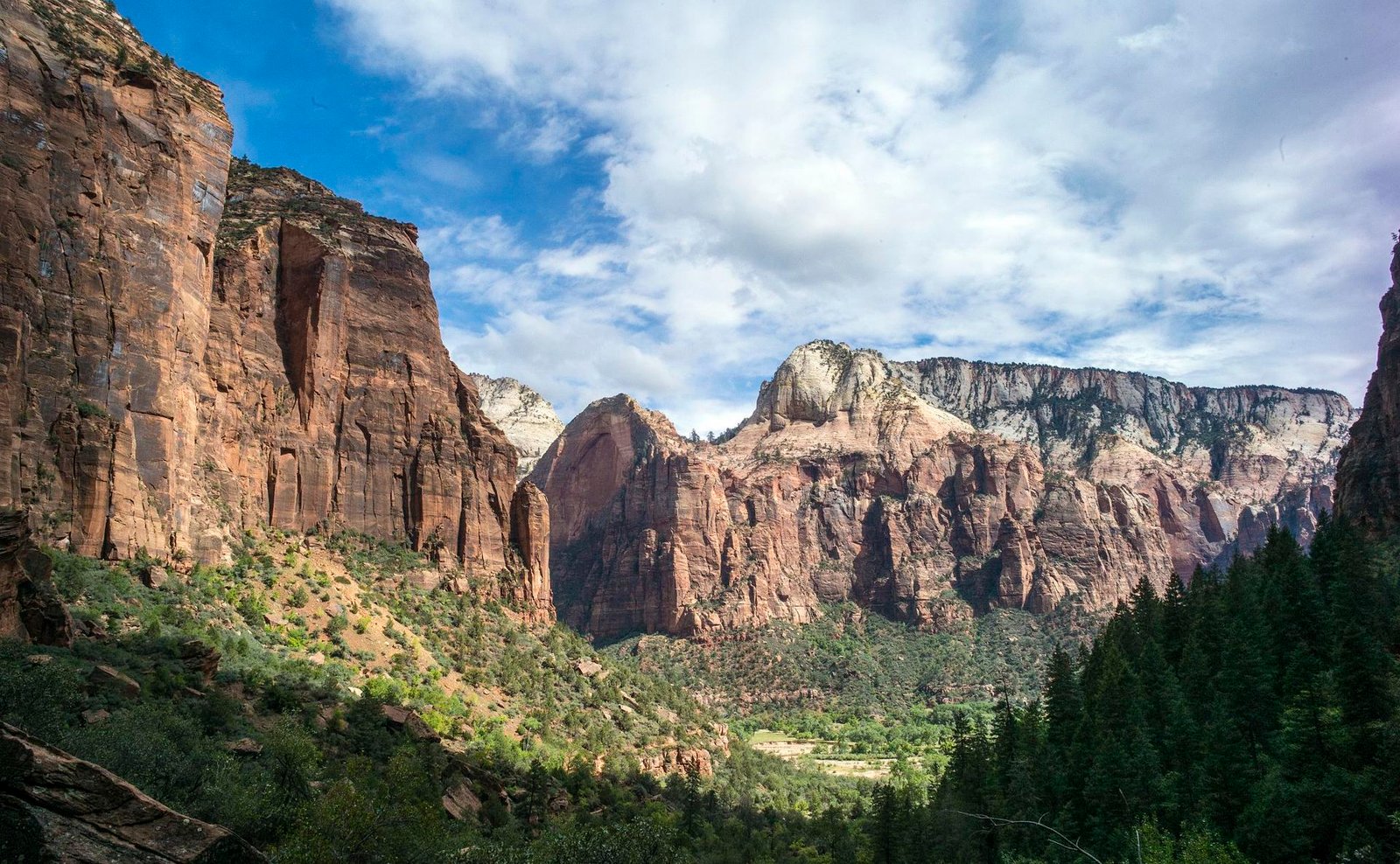 Falaises de Zion National Park